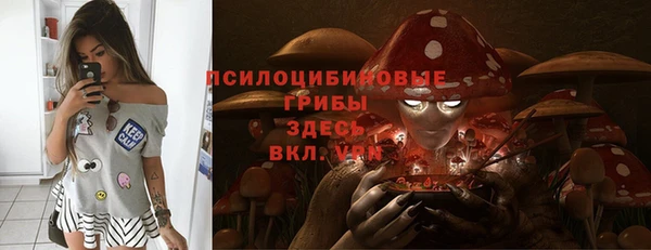 марихуана Новодвинск