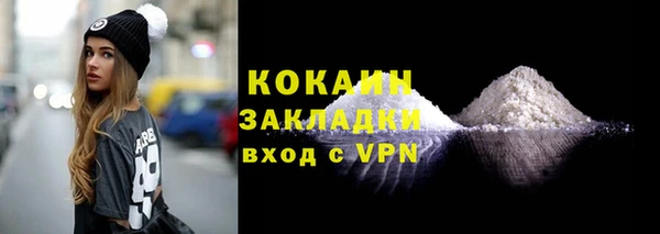 дживик Новозыбков