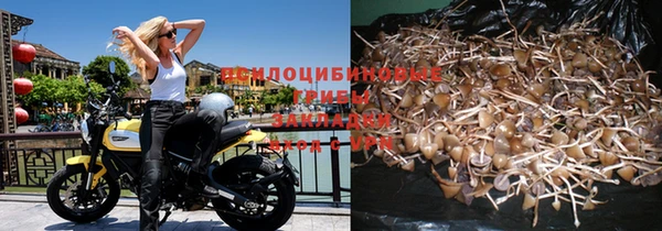 трава Нефтекумск