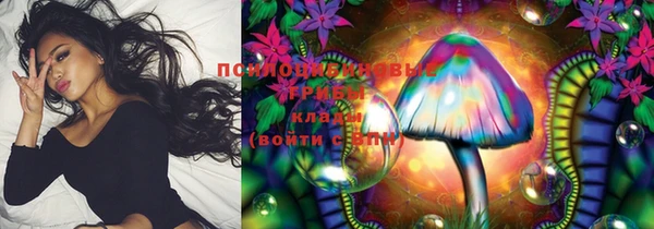 дживик Новозыбков