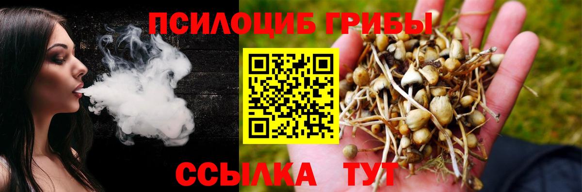 Псилоцибиновые грибы Cubensis  Вход с VPN  Нововоронеж 